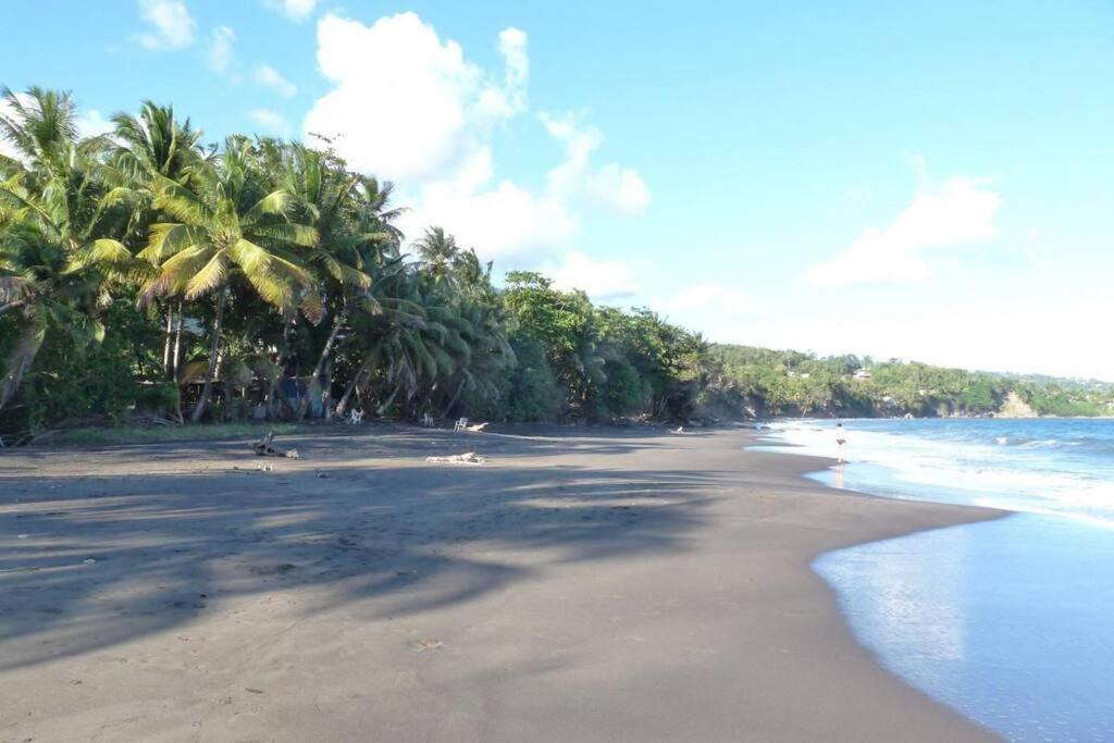 Appartement Manganao Beach Saint-Francois  Exteriör bild
